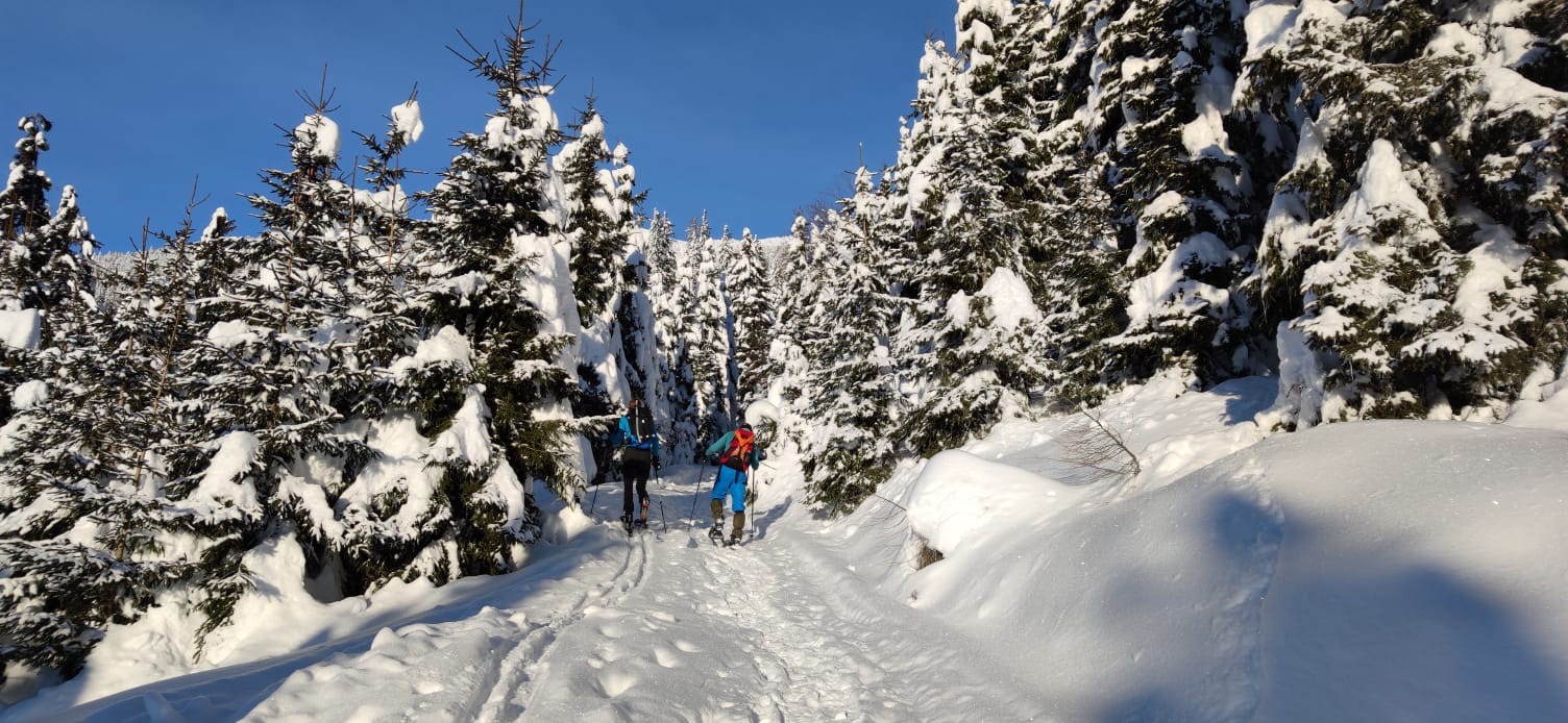 64043dfe-d1a8-4390-a58a-a772c48d0b55