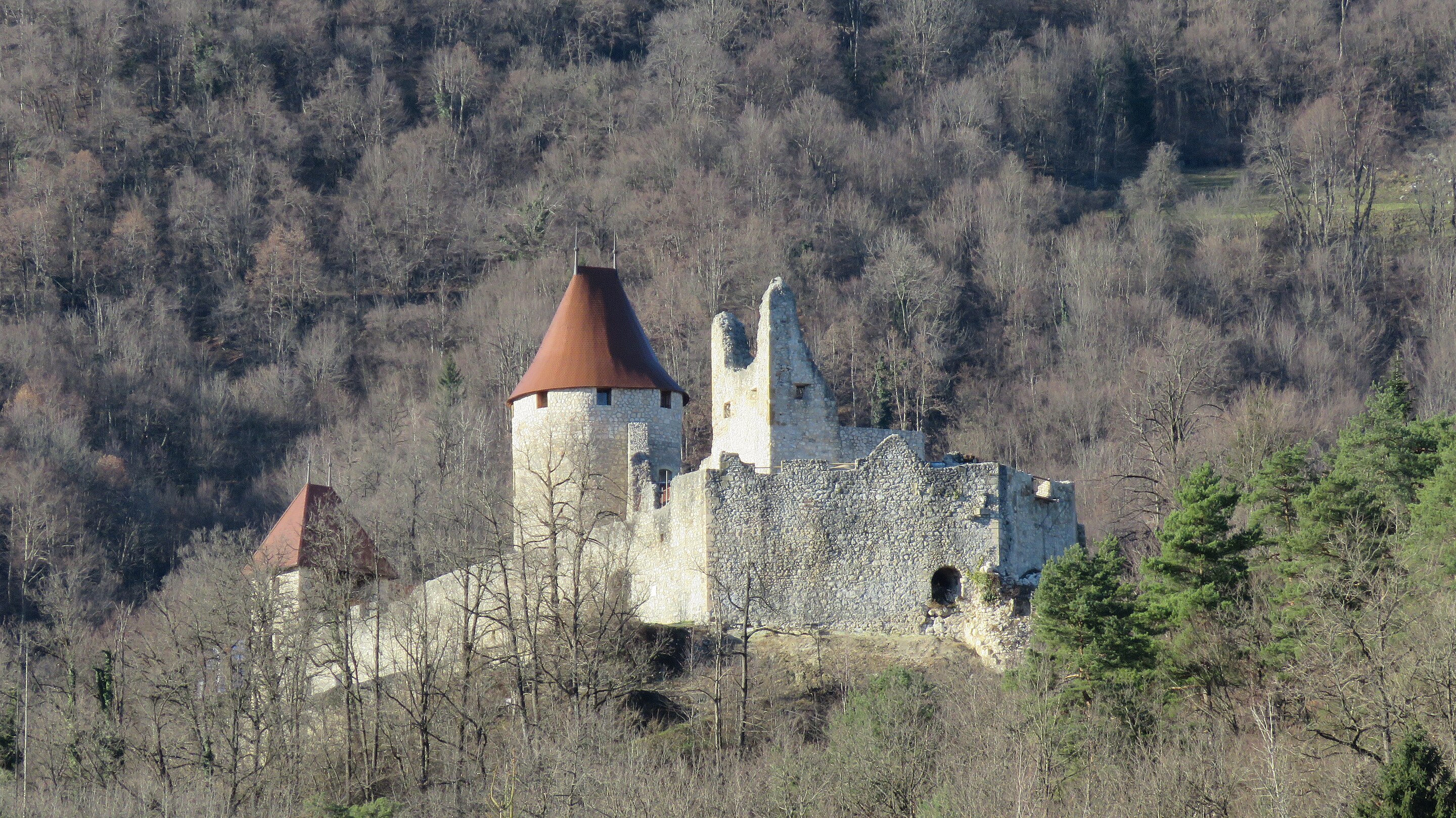 Grad_ovnek_3377_2024